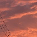 경희살힘한의원 이미지