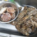 준이네바다상점 네이버블로그