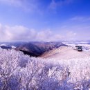 강산