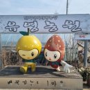 유영농장 네이버블로그