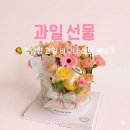 오빠네과일 | 🥭서울 과일바구니 정담향 부모님 첫인사 선물 내돈내산 후기