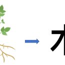 수풀삼 이미지