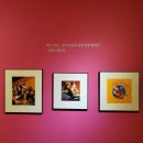 2021 여름특별기획「My Dear 피노키오展」 후기
