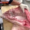 고기천왕 이미지