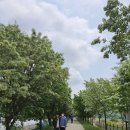 충북상회 이미지