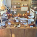 Stay here(스테이히얼) 이미지