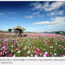 고향역