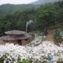 갤러리 지리산 길섶 이미지