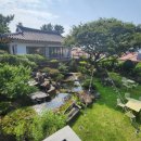 제주기와 <b>제주</b> 정원 카페 <b>제주</b><b>기와</b>, 애견동반도 가능한 힐링 공간