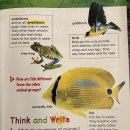 2-7 All kinds of animals 이미지