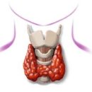 삼성베스트유외과의원 이미지