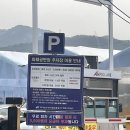 (식물원) 식물 나들이, 양재꽃시장, 화훼공판장