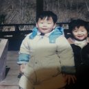 전라북도 산림박물관 이미지