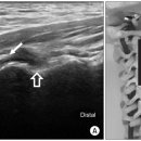 제삼한의원 이미지