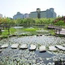 한밭수목원2 이미지