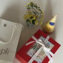 스테이홈 | 포플리 바디케어세트 No8스테이홈/바디워시&amp; 바디로션🫧