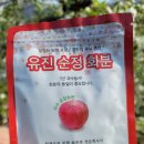 사과꽃필무렵 이미지