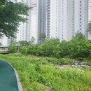 미금교(좌안) 이미지