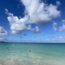 카일루아(Kailua) | [하와이]카일루아 비치(Kailua Beach)ㅣ루루스 와이키키(Lulu's Waikiki)