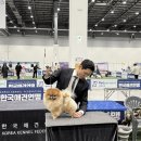 퍼피리트(PUPPY LIT) 이미지
