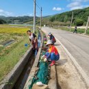 쌍책면_박곡(폐비닐) 이미지