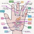 손.발 지압 이미지