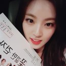 시청 소나무 이미지