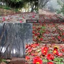 아우토빌 이미지