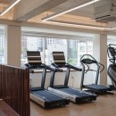 디자인너바나 이미지