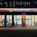 위례별초등학교 | 송파구 장지동 동물병원 위례 별 동물의료센터 위치 오는길 후기