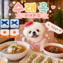 분당궁내-D-1 | 분당 판교 평양냉면 맛집 수래옥 궁내본점 내돈내산