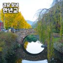 만년교 | 창녕 단풍 명소 만년교 은행나무 가을 여행지 가볼만한곳 추천