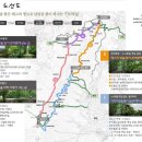 250 이미지