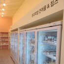 짭쪼롬한오후대전 이미지