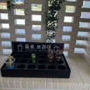오리개우측3교 | 원주 아이랑 갈만한 곳 놀비숲(원주시어린이복합체험관) 솔직추천후기(주차, 예약방법)