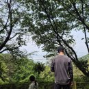 다대본동가야밀면 | 부산 다대포해수욕장 맛집/ 한방육수는 여기가 찐 ! 다대본동 가야밀면