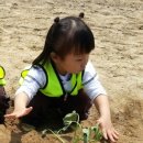 송죽농장 이미지