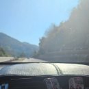 보고약업사 이미지