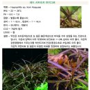 하이그로 이미지