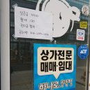 돌리고 제주도야지 이미지