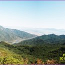 곡성-042 Daum카페