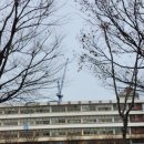서울반포초등학교 이미지