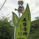 화개달빛정원 이미지