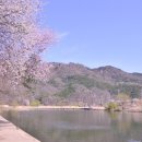 S0016 Daum카페