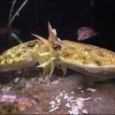 홍해수산 이미지