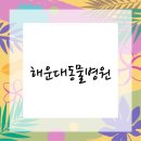 행복을찾는동물병원 이미지