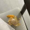 레귤러커피바