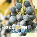 산마루영농조합법인 이미지