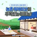 전라남도교육청사, 교육정보원 | 농촌 워케이션, 일과 휴식을 결합한 새로운 근무 트렌드