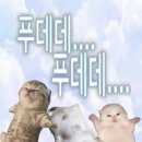 리브나 네이버블로그